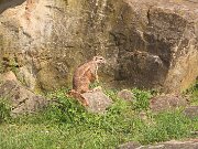 IMG_0005