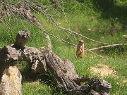IMG_0006