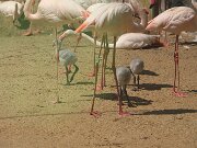 IMG_0014