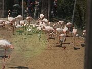 IMG_0015