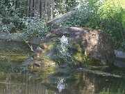 IMG_0020