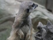 Tierpark Essehof 24-07-2016