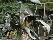 Vogelpark Walsrode 23-09-2012