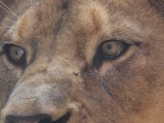 Zoo und Tierpark