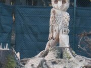 Wildkatzengehege Bad Harzburg 14-01-2018