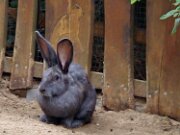 Zoo Braunschweig 16-09-2025