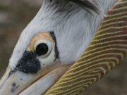 Tierpark Berlin 13-08-2011