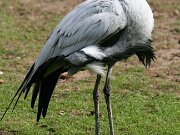 Vogelpark Walsrode 23-09-2012