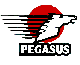 Pegasus Overnight 
Courier GbR