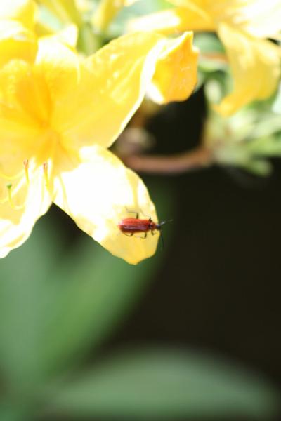 IMG_7642.JPG