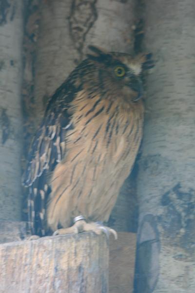 IMG_3364.JPG
